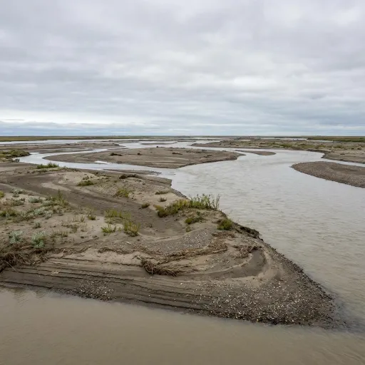 A muddy braided river flows around exposed sand and gravel bars, with layered sediment banks and sparse vegetation in the foreground under an overcast gray sky.